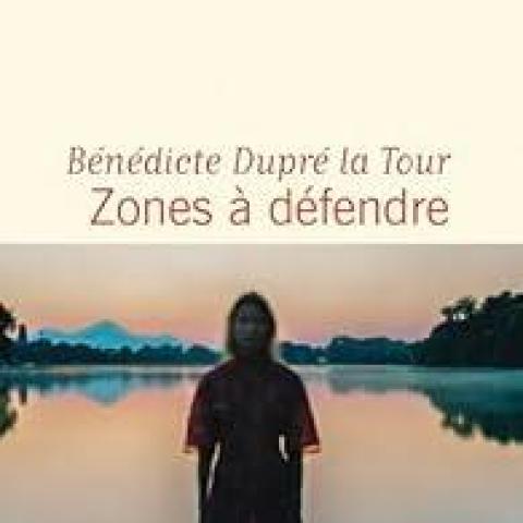 troc de  Rechercher le roman de Bénédicte Dupré la Tour : Zones à défendre, sur mytroc