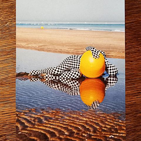 troc de  Image "Not from here"., sur mytroc