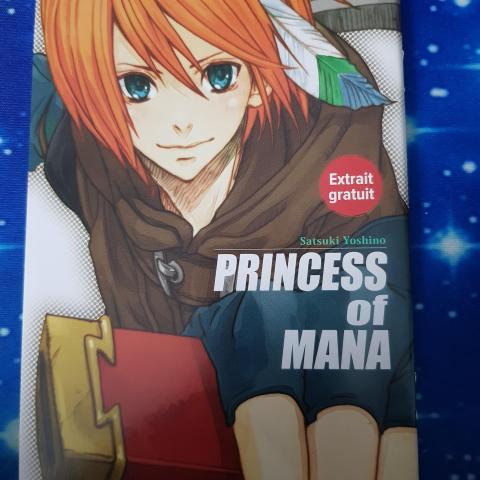 troc de  Petit livret manga Princess of Mana, sur mytroc