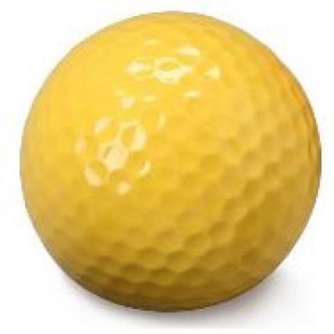 troc de  Balle Golf de practice - Standard, sur mytroc