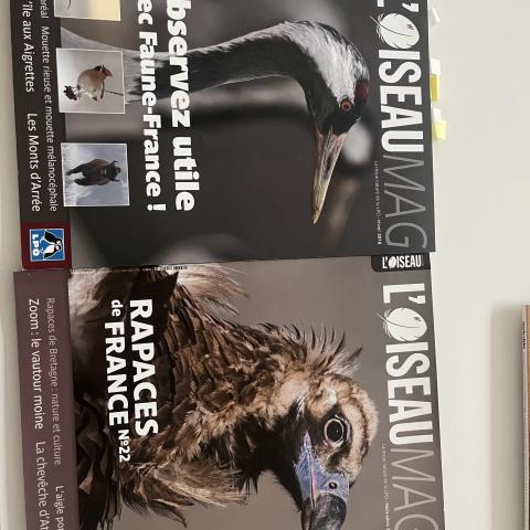 troc de  2 magazines L'OISEAU MAG, sur mytroc