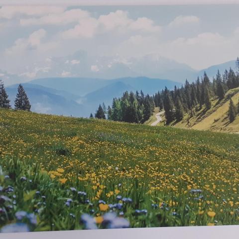 troc de  Cartes postales paysages, sur mytroc