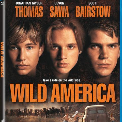 troc de  Recherche blueray ou dvd, sur mytroc