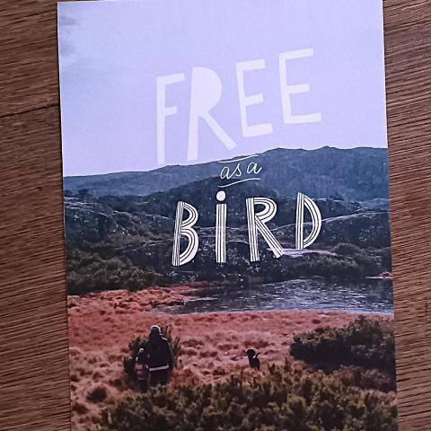 troc de  Affiche "Free as a bird"., sur mytroc