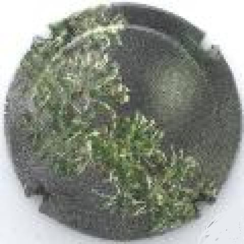 troc de  Capsule Champagne Générique 710 b, sur mytroc