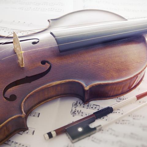 troc de  Quelqu'un pour m'apprendre le violon ? :), sur mytroc
