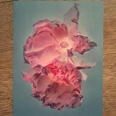 troc de  Affiche florale., sur mytroc