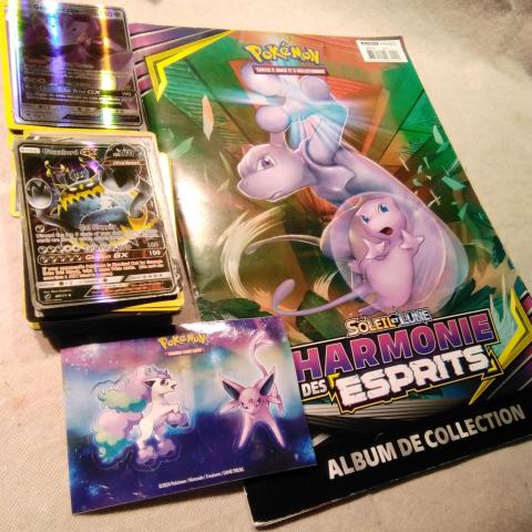 troc de  RESERVE et envoyé lot pokémon, très bon état, sur mytroc
