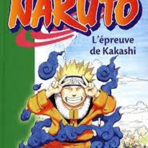 troc de  Attribué L.Jeunesse - Naruto T3 - Poche L'épreuve de Kakashi, sur mytroc