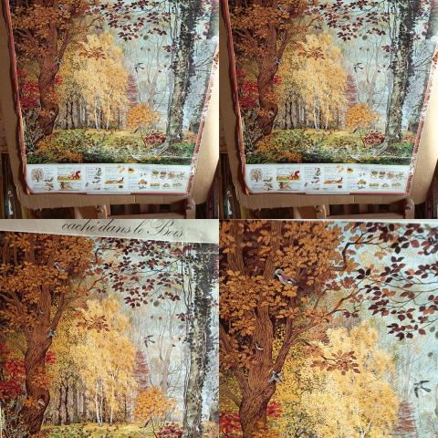 troc de  Affiche Nature, sur mytroc