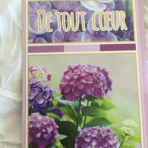 troc de  Carte DE TOUT COEUR décor fleur hortensia & son enveloppe parme, sur mytroc