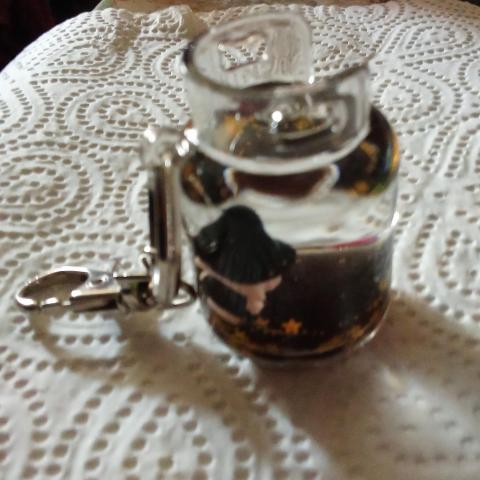 troc de  porte clef de magie neuf ( vous le secoué et le magicien apparait réserver celestine 87, sur mytroc