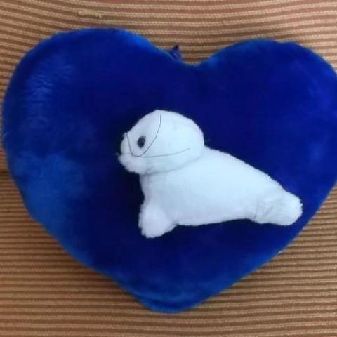 troc de  peluche coeur avec petit phoque, sur mytroc