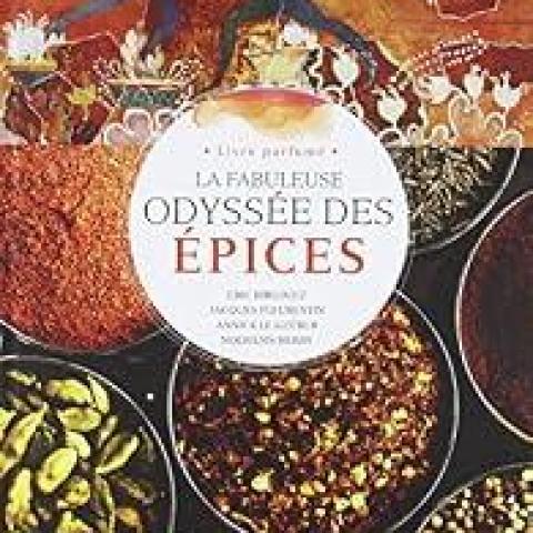 troc de  Recherche le livre d'Eric Birlouez " La fabuleuse odyssée épices, sur mytroc