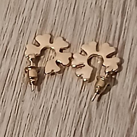 troc de  Reserver Troqueuse Une Paire De Boucle D Oreille, sur mytroc