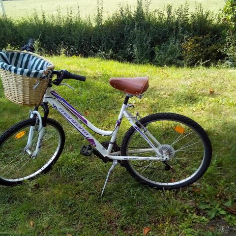 troc de  Vélo ado ou femme, sur mytroc