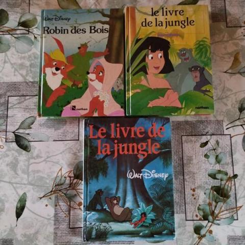 troc de  Réservé Fidji Lot 3 livres Disney, sur mytroc