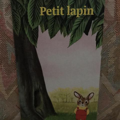 troc de  Réservé /// Livre enfant " Petit Lapin", sur mytroc