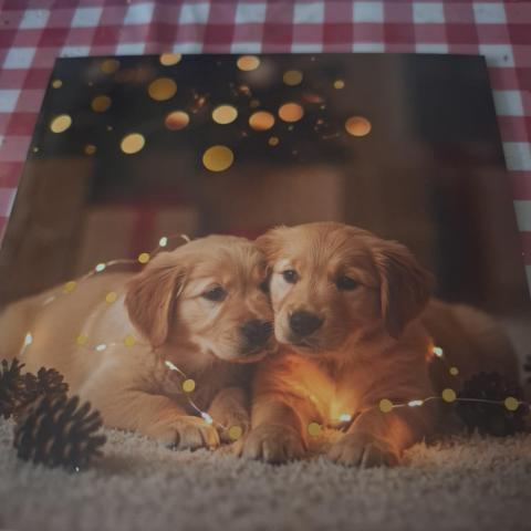 troc de  Carte, sur mytroc