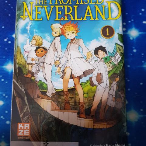 troc de  Petit livret manga The promised Neverland, sur mytroc