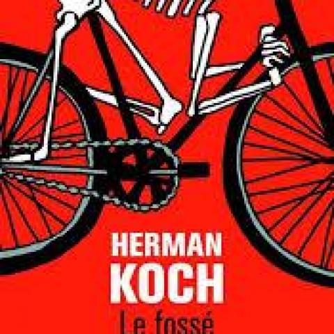 troc de  Livre - Le Fossé - Poche - Herman Koch, sur mytroc