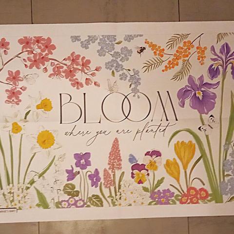 troc de  Poster "Bloom where you are planted"., sur mytroc