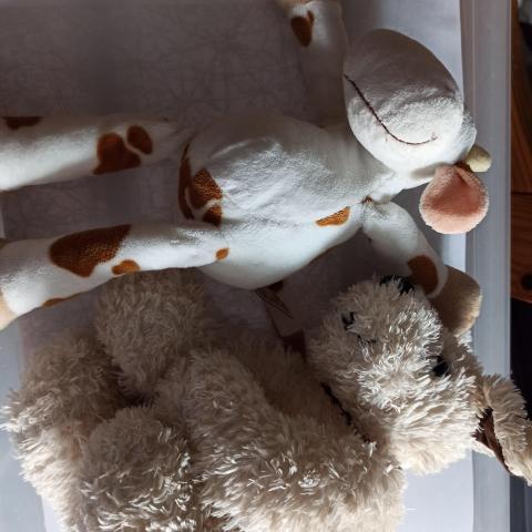 troc de  Réservé peluche vache et chien, sur mytroc