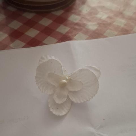 troc de  Broche, sur mytroc