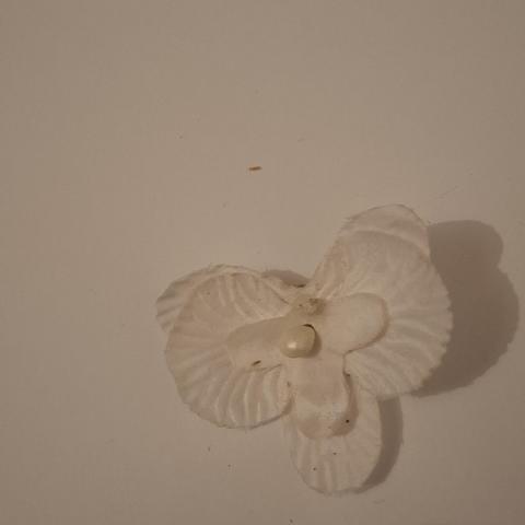 troc de  Broche, sur mytroc