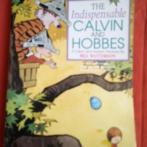 troc de  The indispensable Calvin and Hobbes, sur mytroc