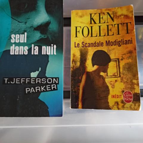 troc de  2 livres policiers dont un grand format, sur mytroc