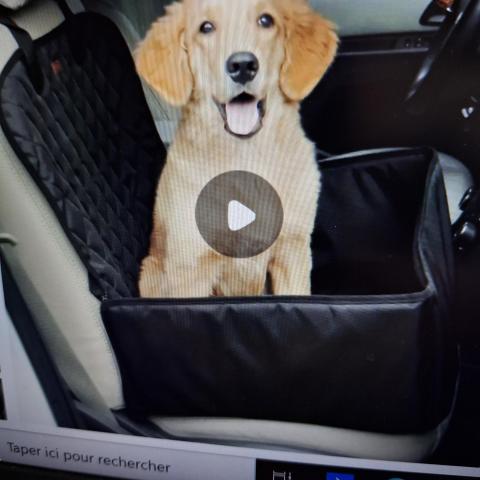 troc de  Pour chien reservé f, sur mytroc