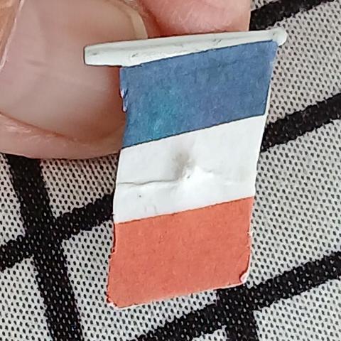 troc de  Une Broche Drapeau De France, sur mytroc
