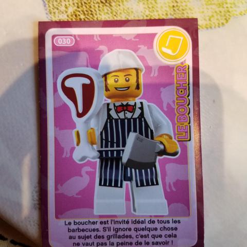 troc de  Carte lego auchan 030, sur mytroc