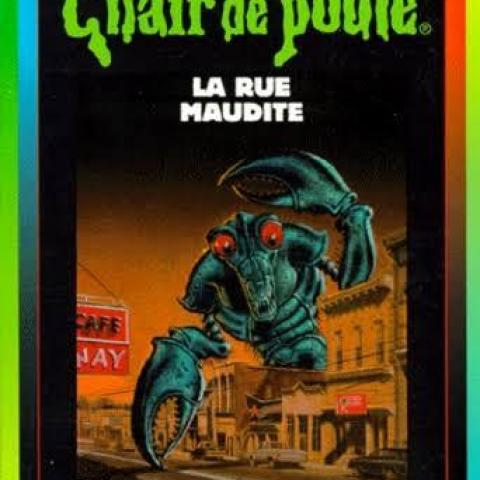 troc de  Attribué Livre - Chair de poule - T28 - La Rue maudite, sur mytroc
