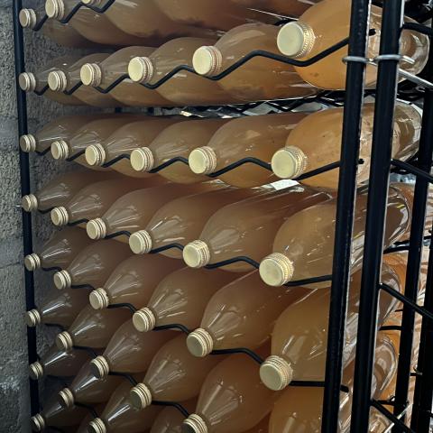 troc de  Jus de pommes, sur mytroc