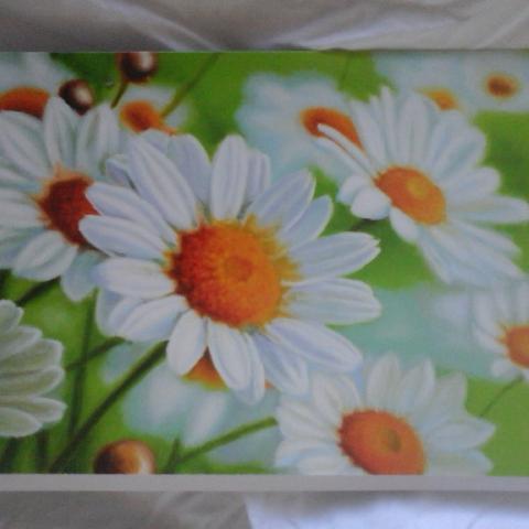 troc de  Carte marguerites en fleurs & son enveloppe blanche, sur mytroc