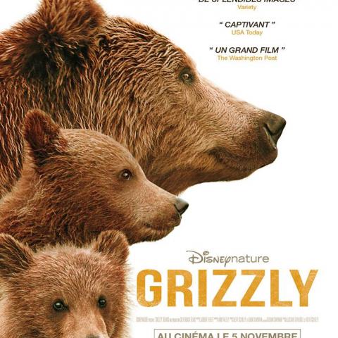 troc de  BLURAY GRIZZLY, sur mytroc