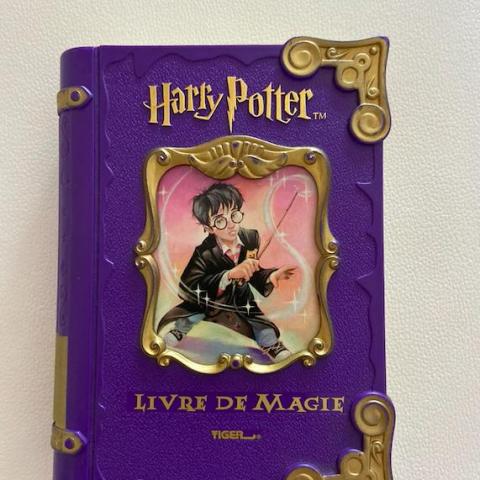 troc de  Livre Harry Potter électronique (réservé), sur mytroc