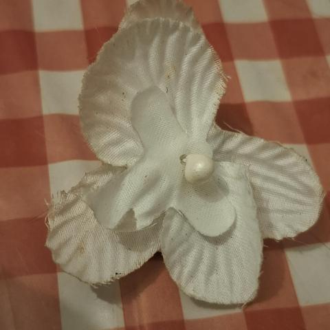 troc de  Broche, sur mytroc