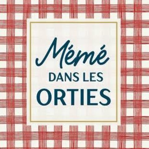troc de  Livre - Mémé dans les orties - Poche - Aurélie Valognes, sur mytroc