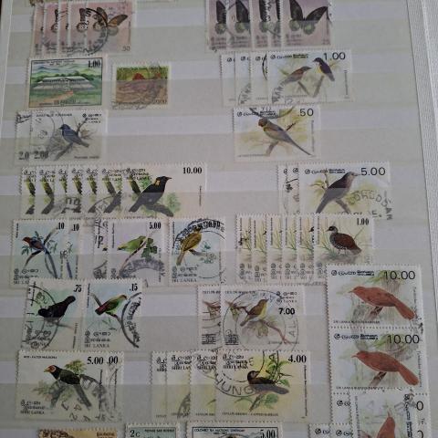 troc de  Echange timbres du Sri Lanka contre flyers uniquement, sur mytroc