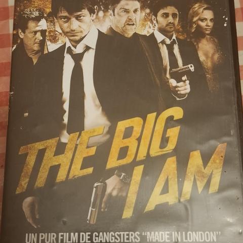 troc de  Dvd the big lAM, sur mytroc