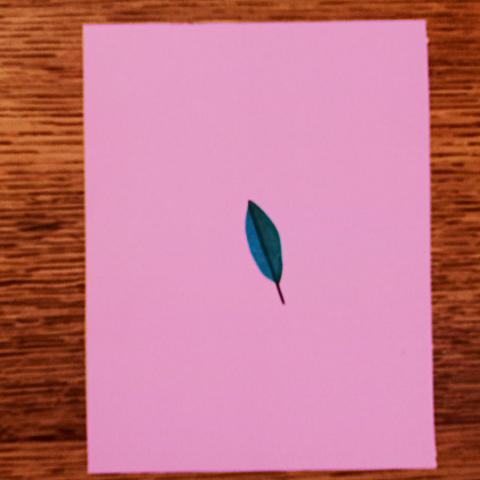 troc de  Carte "Feuille d'arbre"., sur mytroc