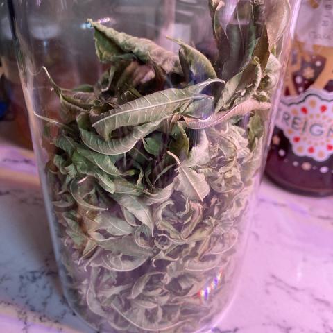 troc de  Verveine citronnelle séchée 30 g, sur mytroc