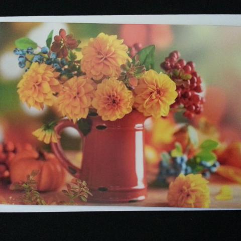 troc de  Carte pot rouge & fleurs + enveloppe, sur mytroc