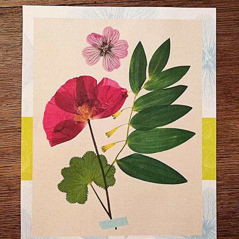 troc de  Affiche "L'herbier"., sur mytroc