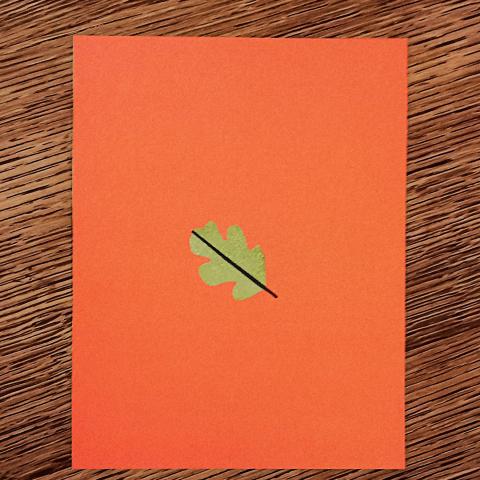 troc de  Carte "Feuille"., sur mytroc