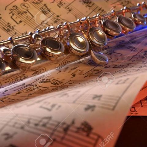 troc de  Propose cours de flûte/piccolo/solfège, sur mytroc