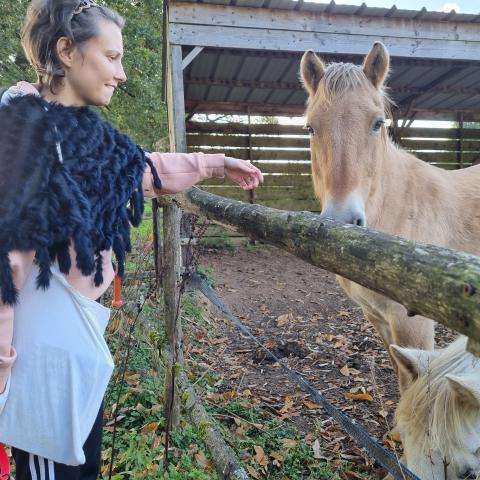 troc de  Ménage, sur mytroc